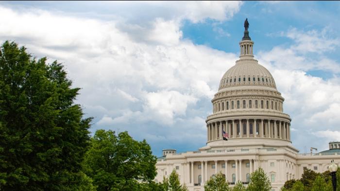 US Capitol building with trees